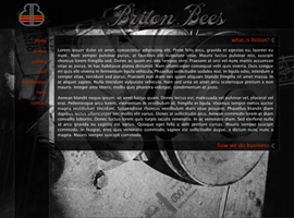 Briton Bees