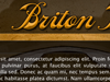BritonBees.com